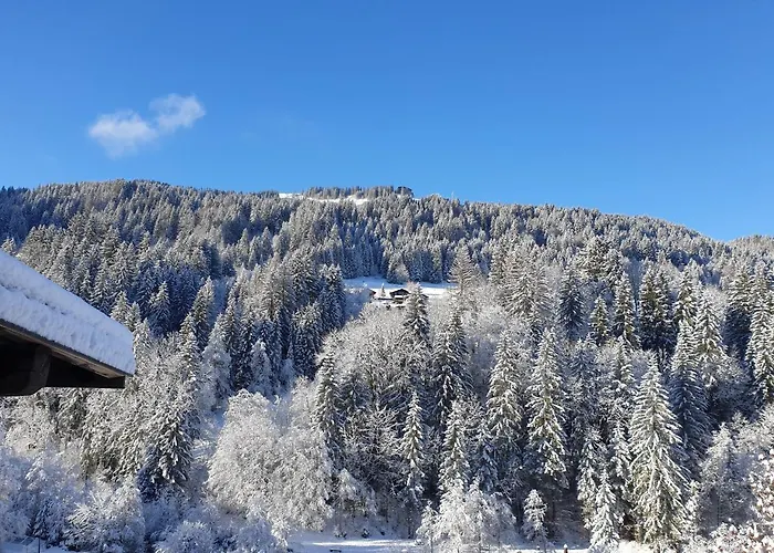Appartement Les 3 Cols Morzine, 2 Pieces, 2 Personnes