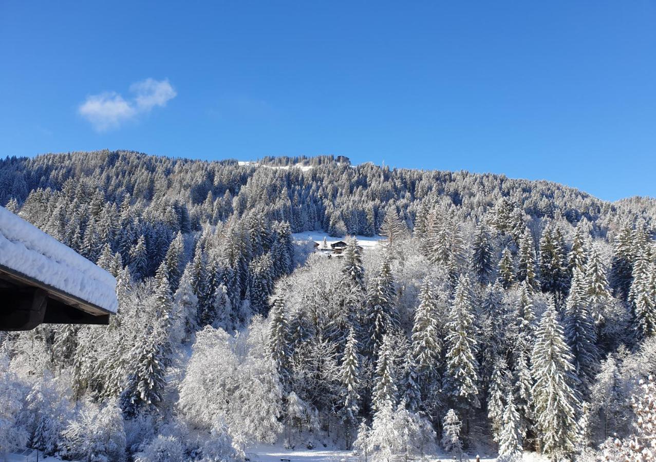 Les 3 Cols Morzine, 2 Pieces, 2 Personnes Apartment *